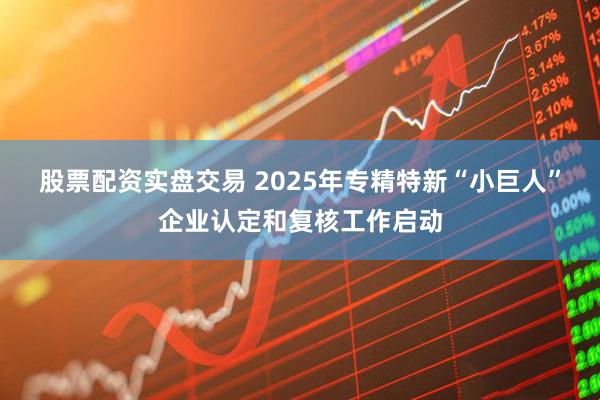 股票配资实盘交易 2025年专精特新“小巨人”企业认定和复核工作启动