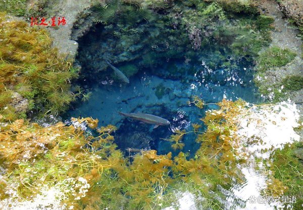 网络配资炒股 日本的九寨沟，富士山下忍野八海