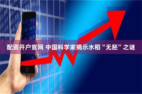 配资开户官网 中国科学家揭示水稻“无胚”之谜