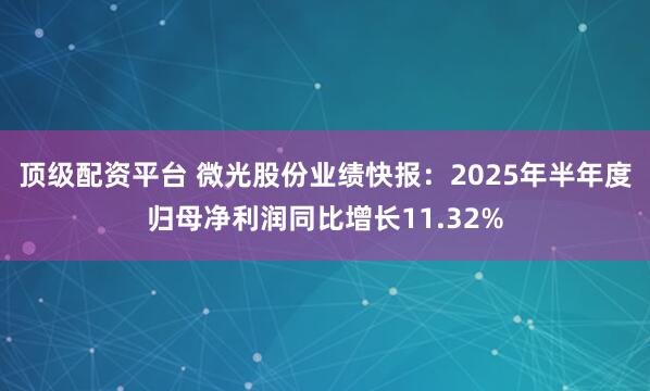 顶级配资平台 微光股份业绩快报：2025年半年度归母净利润同比增长11.32%